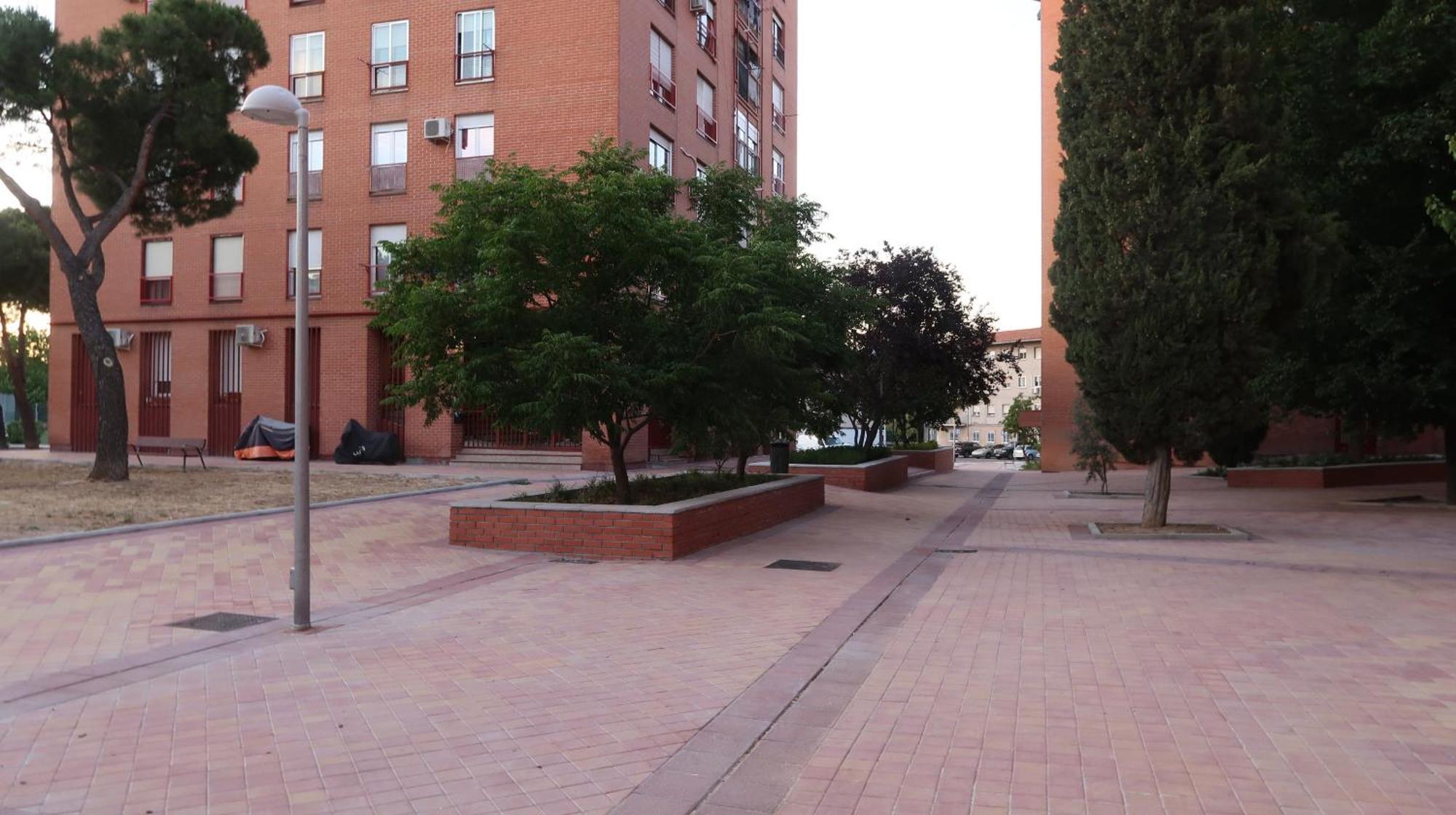 Ama Metropolitano 14 Madri